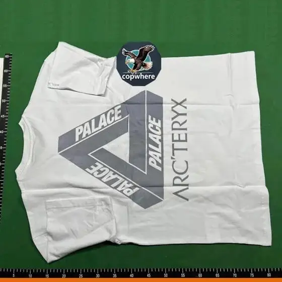 Palace Arc'teryx T-Shirt [26 styles]