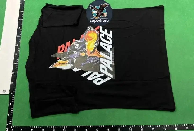 Palace Arc'teryx T-Shirt [26 styles] 2
