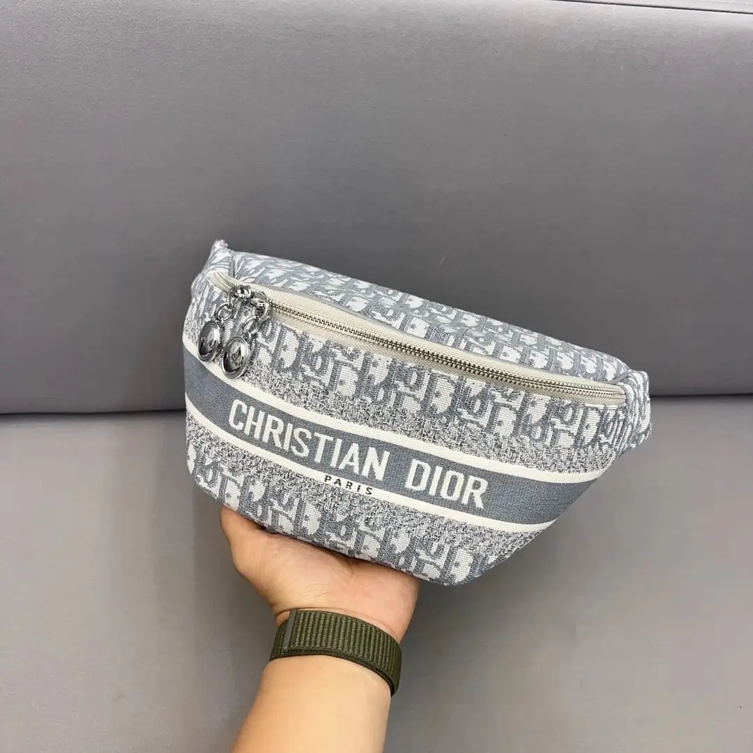 Dior Belt Bags [15 styles]